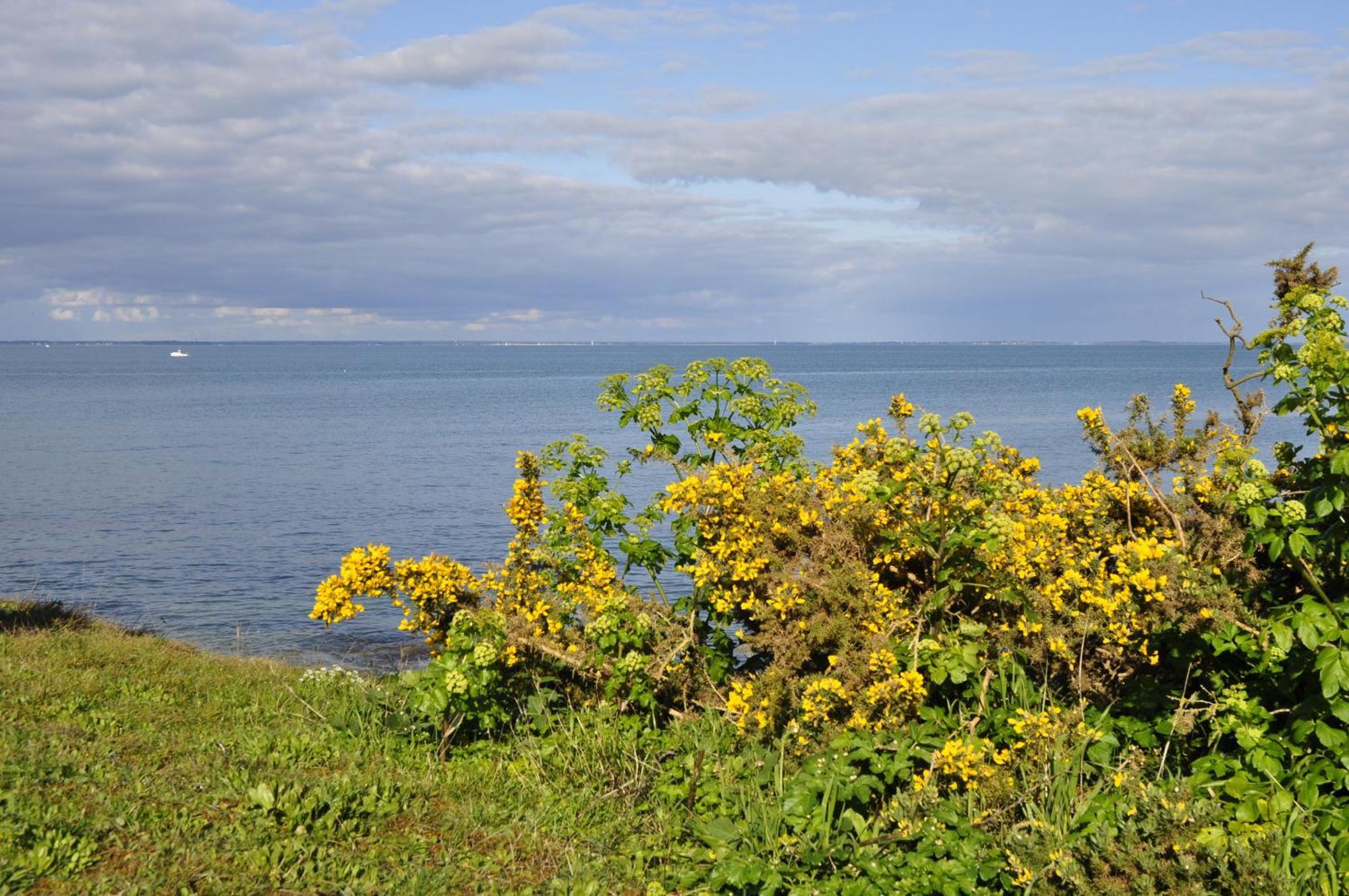 Panorama Vue Mer Quiberon Zimmer foto